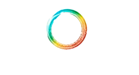 Snowlion Consulting LLC